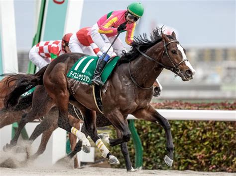 【大井・東京盃注目馬】蛯名正義師に重賞初タイトルプレゼントなるか 競馬ニュース