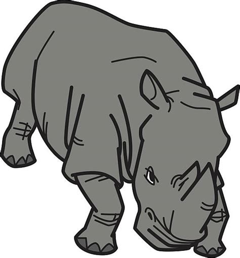 120 Charging Rhino Ilustração De Stock Gráficos Vetoriais E Clipart