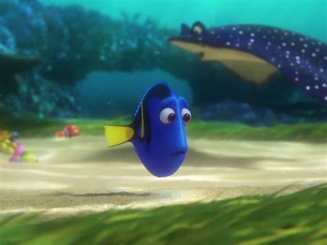 Finding Dory: Baby Dory - TV Guide