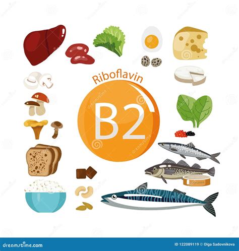 Vitamin B2 Rich Foods