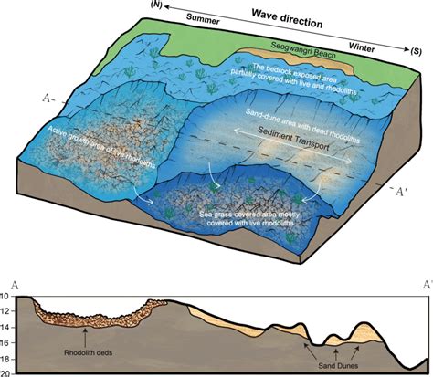 Ocean Floor Topography Cross Section