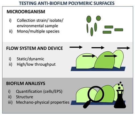 Ijms Free Full Text Testing Anti Biofilm Polymeric Surfaces Where