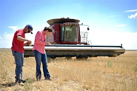 Farming Methods That Naturally Improve Soils - Liberty Nation News