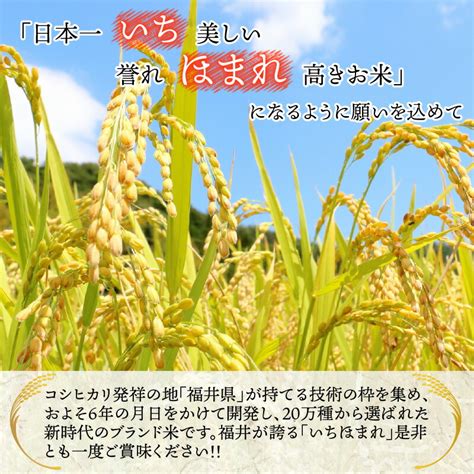 【楽天市場】【ふるさと納税】 令和6年度産 福井県産新ブランド米 いちほまれ 5kg 白米 精米 ご飯 ごはん お試し：福井県永平寺町