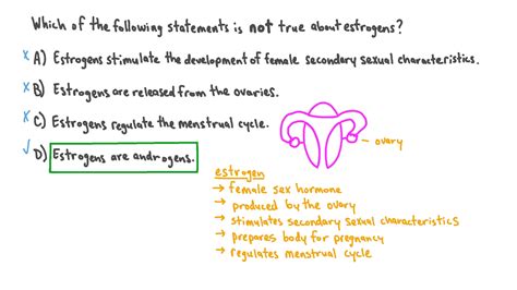 Question Video Identifying The Correct Statements About Estrogens Nagwa