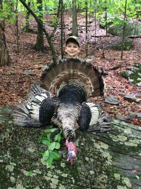 Turkey Hunting Pennsylvania Hunting Ranch