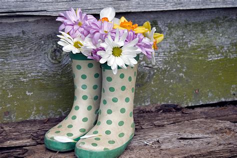 Boot Bouquet Photograph By Maria Dryfhout Fine Art America