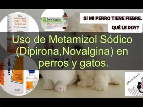 Dexketoprofeno Y Enantyum Para Perros Usos Dosis Y Efectos Secundarios