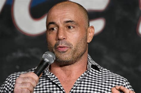 Joe Rogan Slams Ufc For Not Putting Nate Diaz And Nick Diaz On Ufc