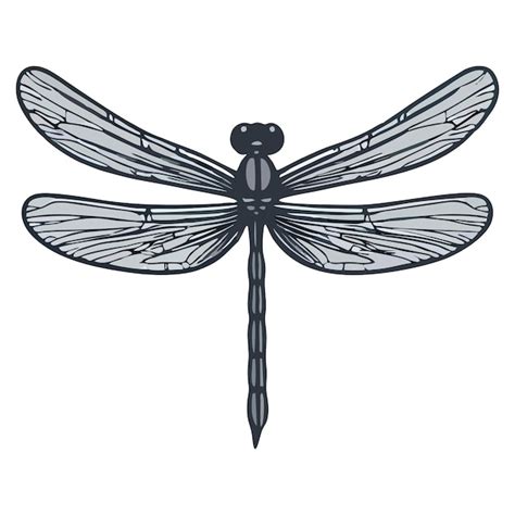 Premium Vector Dragonfly Vector