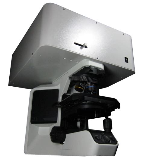 Laser Scanning Confocal Microscopy