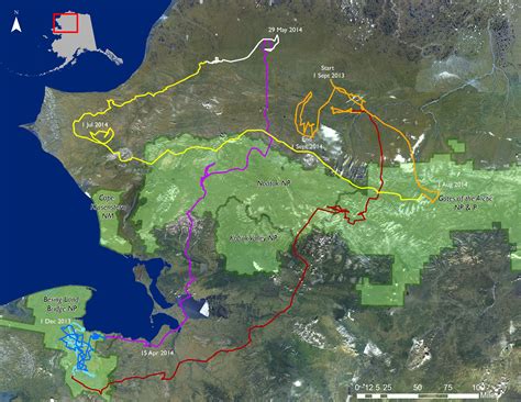 Caribou: Did You Know? (U.S. National Park Service)