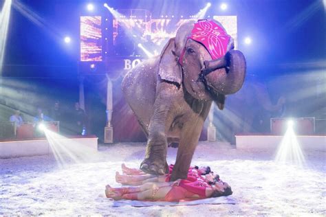 Weihnachts Circus Bilanz In Dresden Neustart Mit Turbulenzen