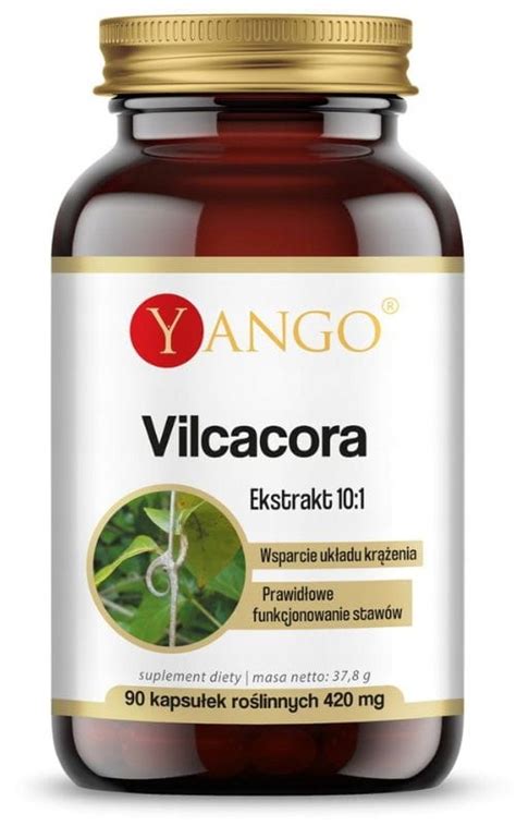 Vilcacora ekstrakt 10 1 90 kapsułek YANGO 13768602640 Allegro pl