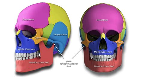 Craniofacial Deformities