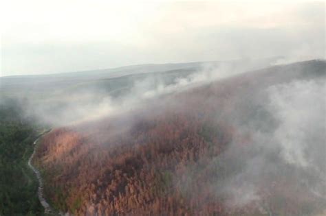 Incendios Forestales En Siberia Vinculados Al Calentamiento Del Ártico