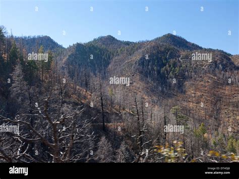 Arizona Wild Fires Hi Res Stock Photography And Images Alamy