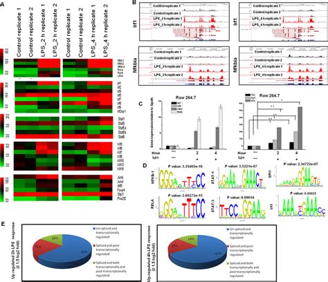 Transcriptomic Analysis Of Selected Tf Families In Bv 2 Microglial Download Scientific Diagram