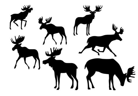 Silhouette Caribou Set 151512 Vector Art At Vecteezy