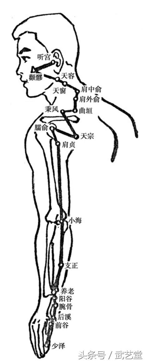 十二经络走向图及穴位养生调理方法 知乎