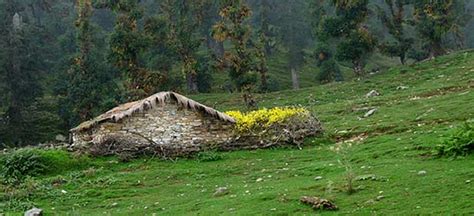 Chopta hill station | Welcomenri