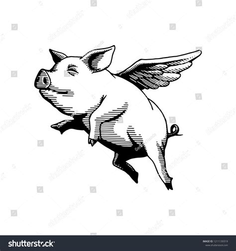 Flying Pig Illustration Drawing Stock Vector (Royalty Free) 1211139319 | Shutterstock