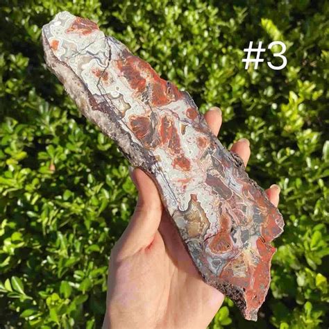 Mexican Crazy Lace Agate Slab – Kenna Crystal