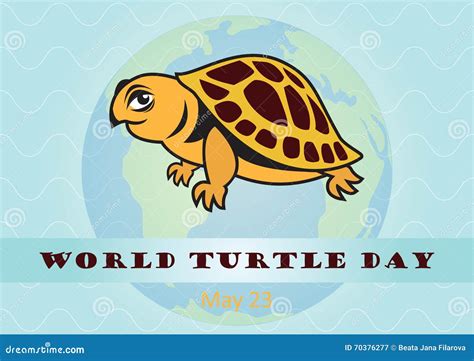 World Turtle Day Stock Vector Illustration Of Ocean 70376277