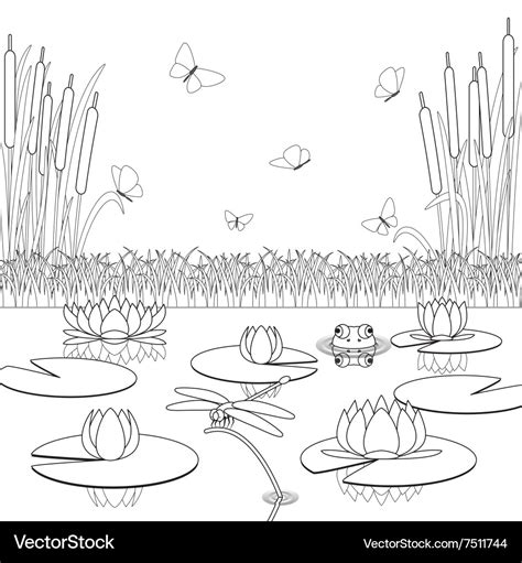 Pond Coloring Page For Kids