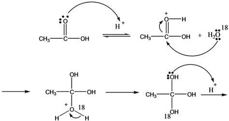 Solved Chapter 17 Problem 57p Solution Organic Chemistry 6th Edition