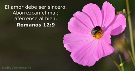 Romanos Vers Culo De La Biblia Del D A Dailyverses Net