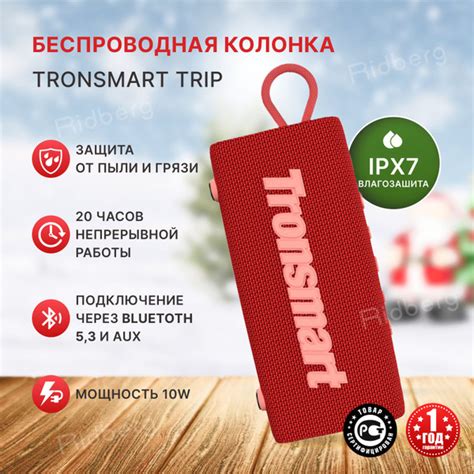 Беспроводная колонка Tronsmart Tronsmart_Trip10_ Ridberg - купить по ...