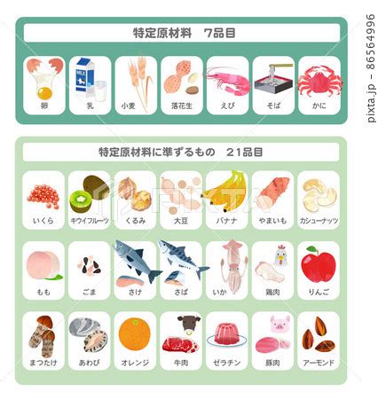 食物アレルギー 表示対象28品目一覧 イラストのイラスト素材 86564996 PIXTA