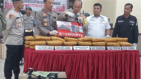 Polres Langsa Sita Senpi Rakitan Dari Kurir Ganja Prohaba Co