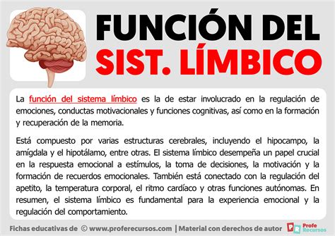 Función del Sistema Límbico