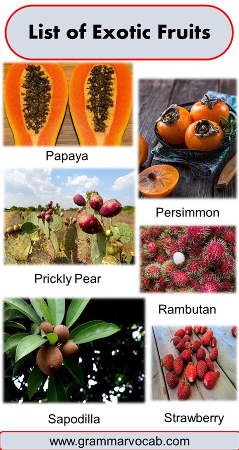 List Of Exotic Fruits Names Pictures Grammarvocab