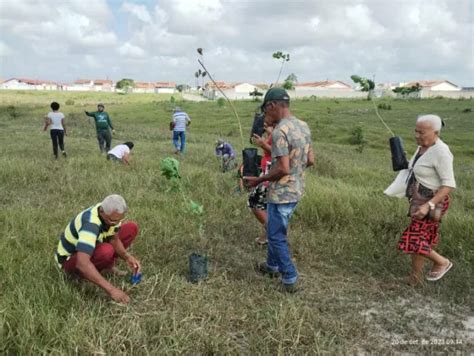 Prefeitura De Teixeira De Freitas Realiza Plantio De Mudas Nativas