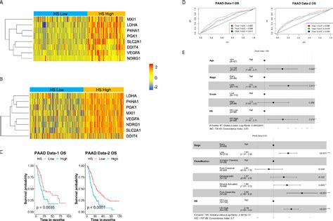 Frontiers An Eight Gene Hypoxia Signature Predicts Survival In