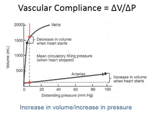 Exam Hemodynamics Flashcards Quizlet