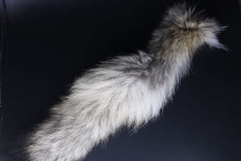 Wolf tail - Centralia Fur & Hide