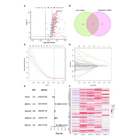 Establishment Of The Pr Lncrna Prognostic Signature For Hcc Patients