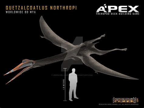 Quetzalcoatlus Dinosaurs Pictures And Facts