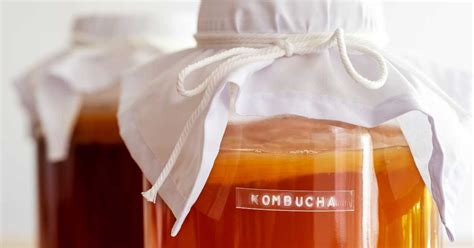 Can Kids Drink Kombucha Youll Want To Read This