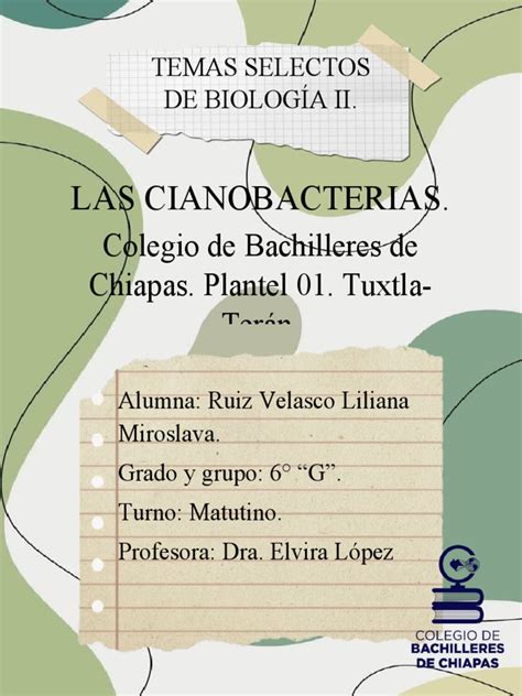 Las Cianobacterias Pdf Plantas Biología Celular