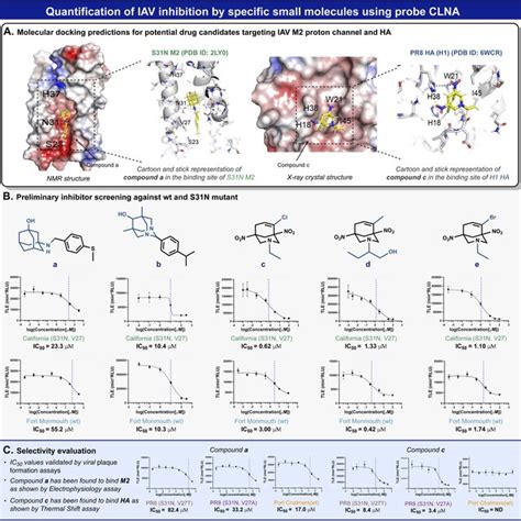 A Docking Predictions Of Compound A To The NMR Structure Of Mutant M2