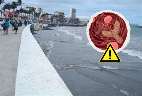 Playas De Veracruz Dentro De Las En M Xico Con Altos Niveles De