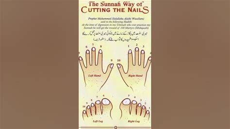 The Sunnah Way Of Cutting The Nails Youtube