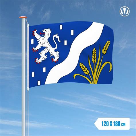 Vlag Haarlemmermeer X Cm Bol