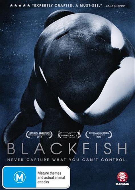 Buy Blackfish On Dvd Sanity