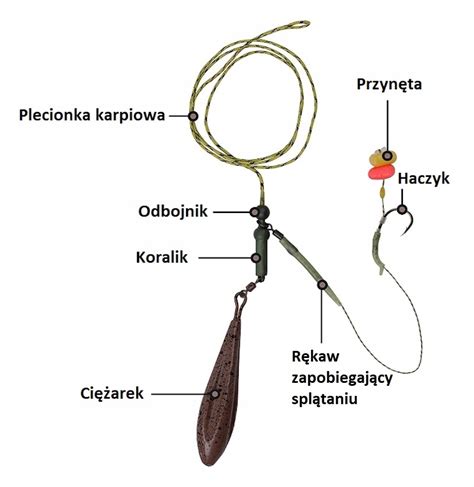 Karpiowy Zestaw Z Przyponem Do Rzutu G Przyn Ta